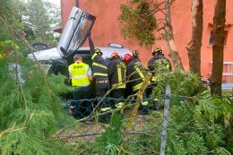 Auto si schianta e decolla: colpisce un albero e finisce in casa