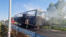 Incendio sull’Arzerone, caos e rabbia