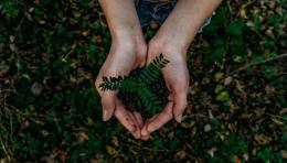 Come l'industria del gioco sta diventando più verde