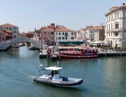 Controlli sul territorio, i Carabinieri sequestrano mezza tonnellata di vongole