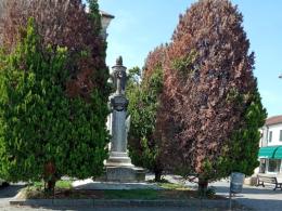"Rottanova è sempre più sola"