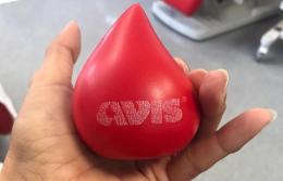 Carenza di sangue, Avis Chioggia lancia l'appello ai donatori
