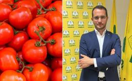 Il pomodoro del Polesine nei sughi made in Italy