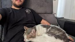Gattino in fuga dopo l'incidente, ritrovato dopo 16 giorni