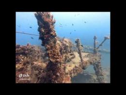 I Free Diver di Porto Viro alla scoperta del relitto inabissato