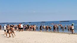 Paura per uno squalo, fuggi fuggi dal mare