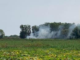 Paura in via Busiola Nord per un incendio di sterpaglie