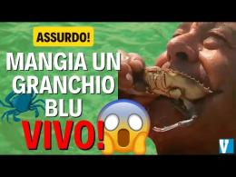 Il coraggio di un pescatore: mangia un granchio blu vivo in diretta ( VIDEO )