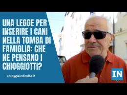 Una legge  per inserire i cani nella tomba di famiglia: che ne pensano i chioggiotti?