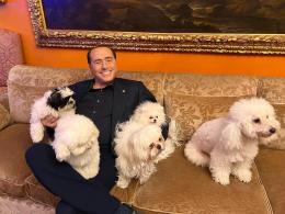  Ad Arcore arriva Poldo B, un cucciolo tutto polesano