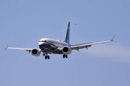 Ubriachi fradici fanno dirottare un aereo a Venezia