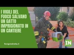 I vigili del fuoco salvano un gatto imprigionato in una buca