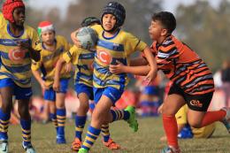 Rugby Frassinelle: I Galletti tornano in campo 