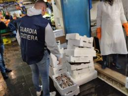 Multe e sequestri al Mercato Ittico
