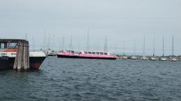 E’ attraccato il vaporetto rosa