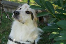 Elvis, Texas, Lady D e altri ancora pronti ad una vita nuova