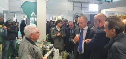 La tisana Polesana promossa dal ministro Lollobrigida