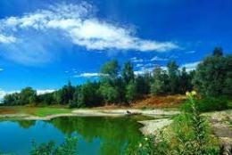 Il Patrimonio naturalistico dell'Isola Fluviale Bianchi minacciato dai bracconieri