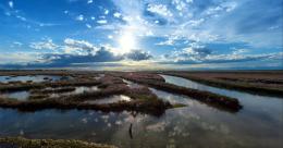 Un progetto per conservare le barene della Laguna