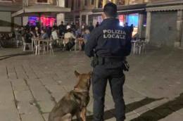 Più di mille sanzioni in un anno a bar e ristoranti