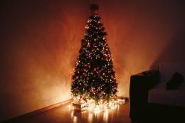 Senza l'albero non si può stare! C'è chi lo ha già fatto
