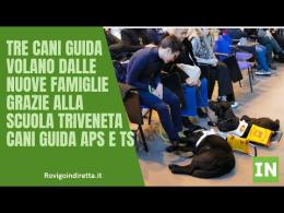 Tre cani guida volano dalle nuove famiglie 