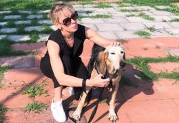 Ritiro della patente, per chi abbandona gli animali per strada