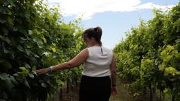 Giovani agricoltori: 35 milioni di euro a bando per il primo insediamento