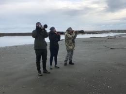 Successo per il censimento IWC dell'avifauna acquatica svernante nel Polesine