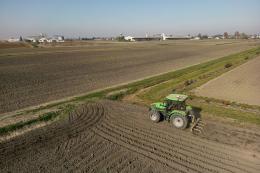 Investimenti per il settore agricolo e agroalimentare: in Veneto bandi per 64 milioni di euro grazie ai fondi Europei