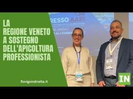 La Regione Veneto a sostegno dell'apicoltura