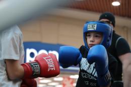 Boxe in Fattoria, grande successo