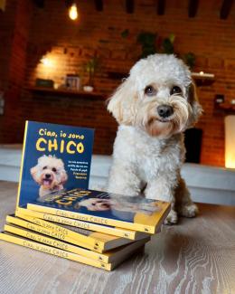 Firmacopie con Chico