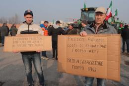 Barbujani: “Salvaguardare il Made in Italy”