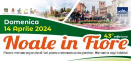 Noale in fiore