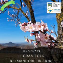 Il Gran Tour Dei Mandorli In Fiore con trekkin2thewild