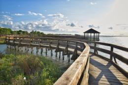 Escursione a Porto Caleri