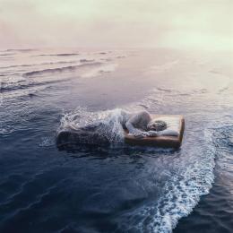 Firmacopie con Mr. Rain