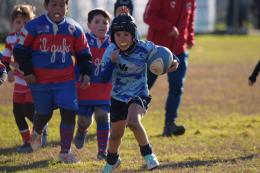  Torna il torneo della Vangadizza, trofeo Ovalina
