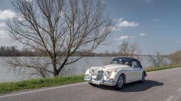 Destra e Sinistra Po 2024: Un'Avventura epocale lungo il fiume Po per gli appassionati di auto d'epoca