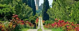 Riapertura del parco giardino Sigurtà e visite gratuite per le donne