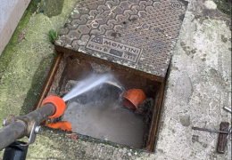 Parte la guerra alle Blatte