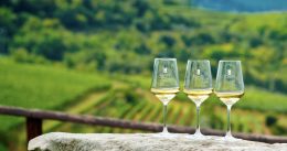 Festa medievale del vino bianco a Soave