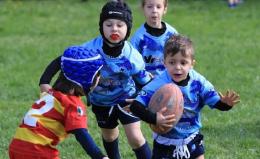 Una domenica di festa per i bimbi del rugby polesano