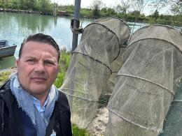 Mitilla, esempio di resilienza