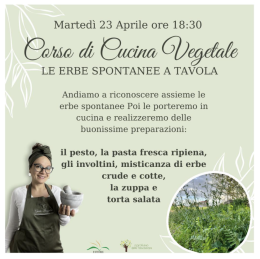 Corso di cucina vegetale - Le erbe spontanee a tavola 