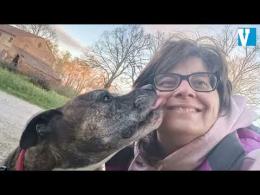 “Aiutatemi a trovare il mio Ginko"