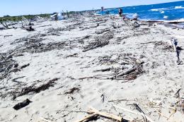 “Caleri, spiaggia indecente”