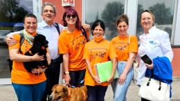 I cagnoloni entrano in ospedale