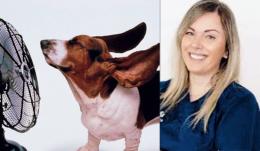 Gran caldo: soffrono anche  i nostri animali. Ecco come aiutarli